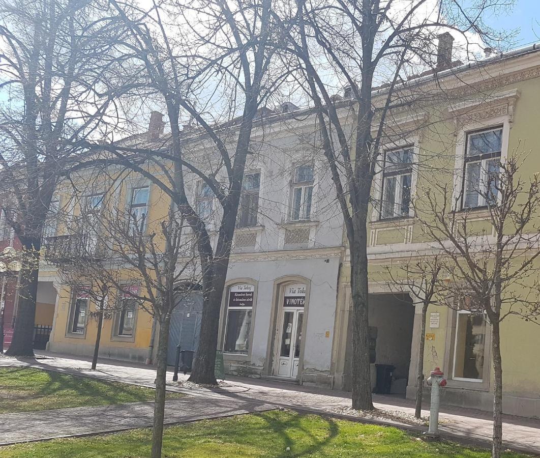 Via Tokaj Vendeghaz Apartment Sátoraljaújhely Exterior foto