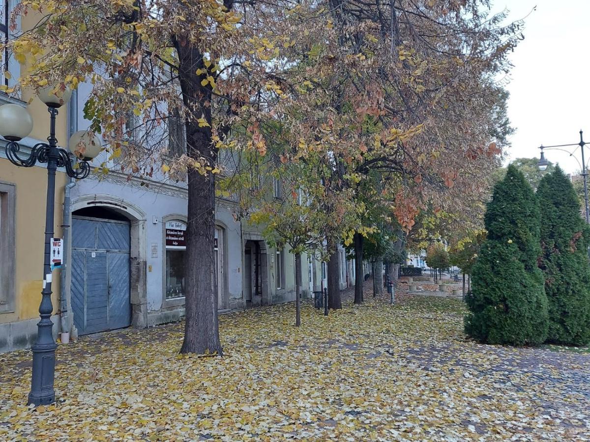 Via Tokaj Vendeghaz Apartment Sátoraljaújhely Exterior foto