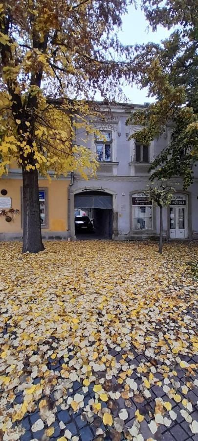Via Tokaj Vendeghaz Apartment Sátoraljaújhely Exterior foto